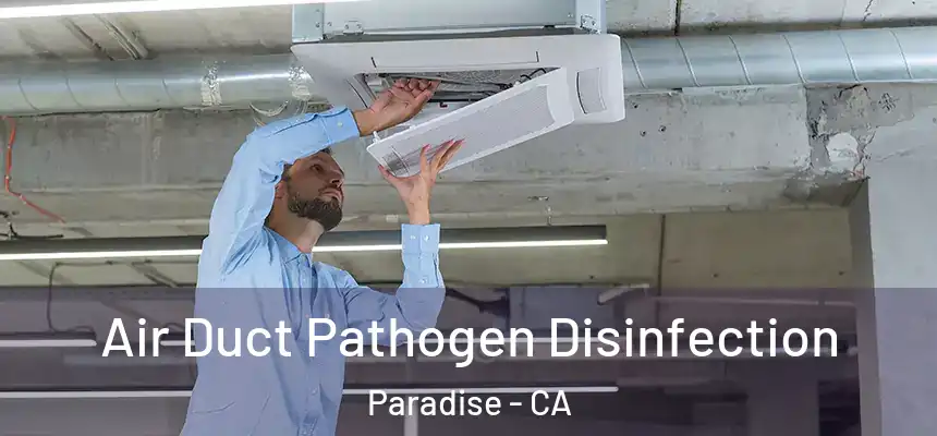  Air Duct Pathogen Disinfection Paradise - CA