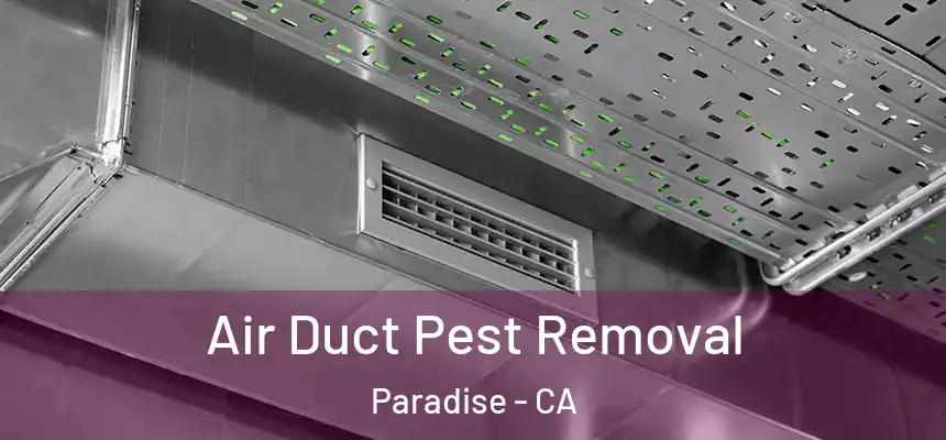  Air Duct Pest Removal Paradise - CA