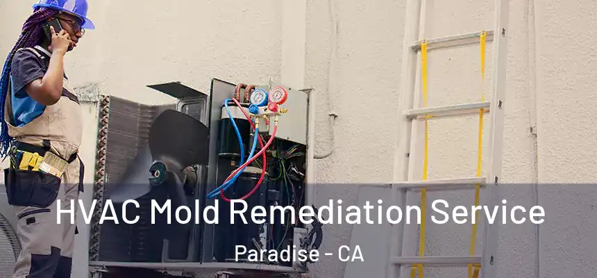  HVAC Mold Remediation Service Paradise - CA