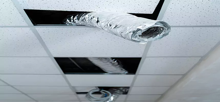 Our Air Duct Pet Hair Removal Services in Paradise, CA