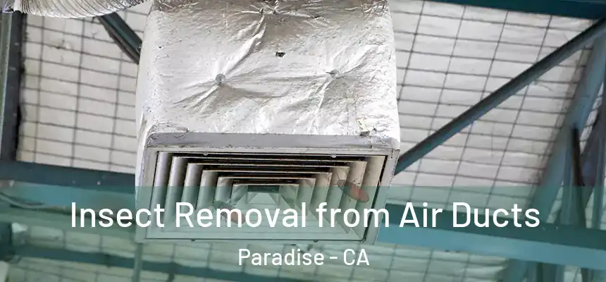  Insect Removal from Air Ducts Paradise - CA