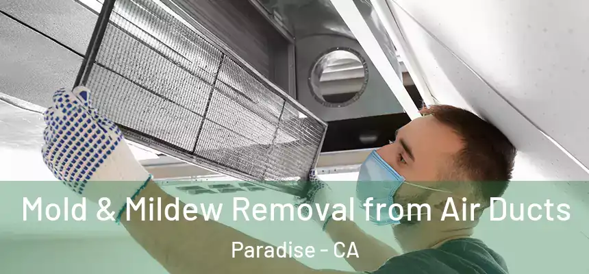  Mold & Mildew Removal from Air Ducts Paradise - CA
