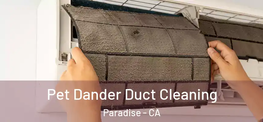  Pet Dander Duct Cleaning Paradise - CA