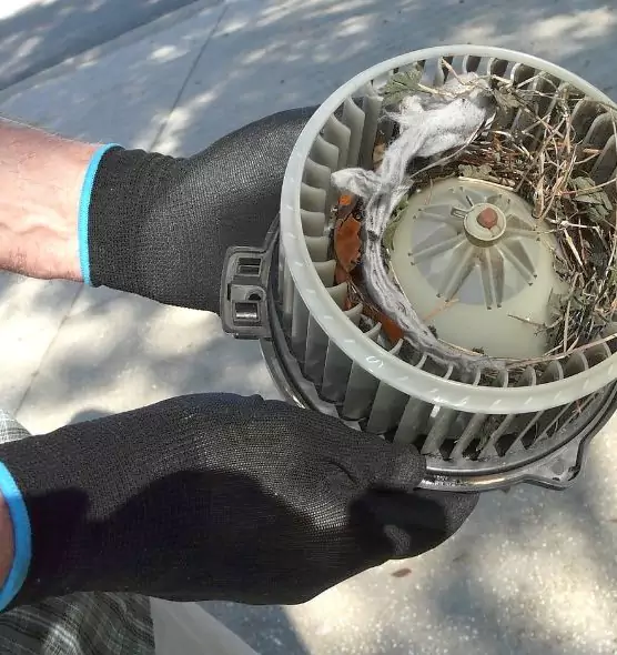 About Air Duct Rat Removal in Paradise, CA