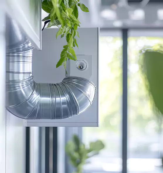 Professional Eco-Safe Dryer Vent Cleaning in Paradise, CA