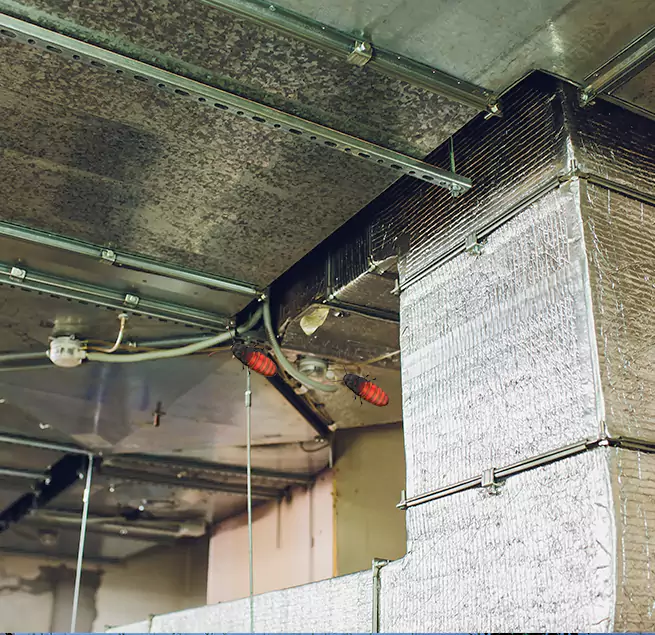 Why Homeowners & Businesses Trust Us in Paradise, CA?