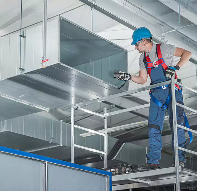 Why Homeowners & Businesses Trust Us in Paradise, CA?