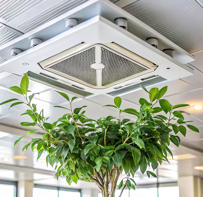 Why Homeowners & Businesses Trust Us in Paradise, CA