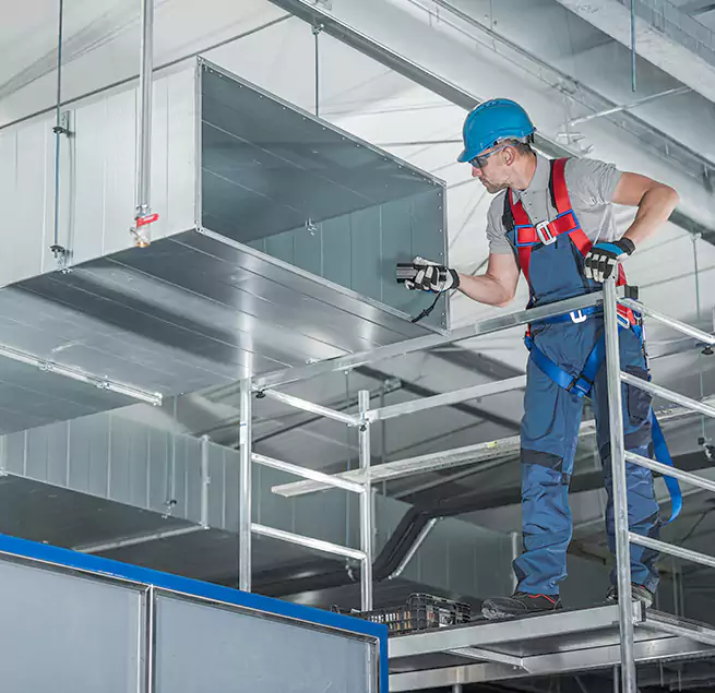 Why Homeowners & Businesses Trust Us in Paradise, CA?