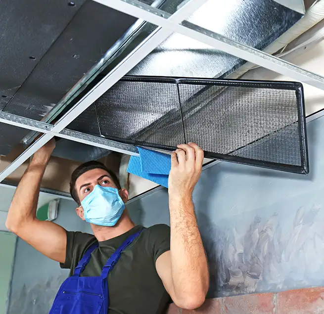 Why Homeowners & Businesses Trust Us in Paradise, CA?