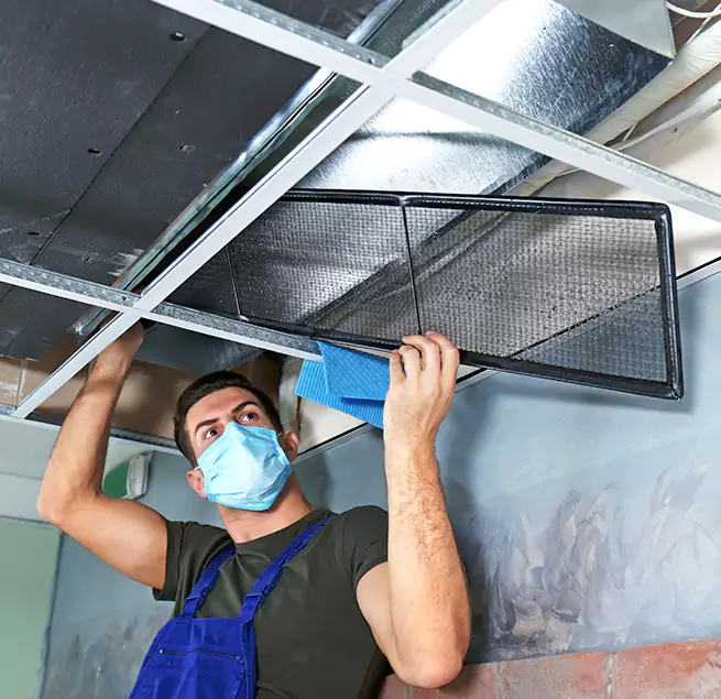 Why Homeowners & Businesses Trust Us in Paradise, CA?