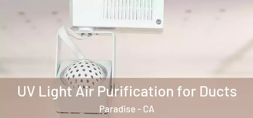  UV Light Air Purification for Ducts Paradise - CA
